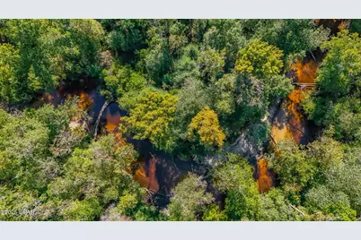 16540 NW County Road 379A, Bristol, FL 32321 - Photo 29