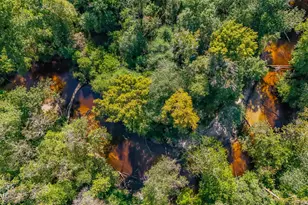 16540 NW County Road 379A, Bristol, FL 32321 - Photo 29