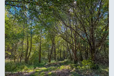 16540 NW County Road 379A, Bristol, FL 32321 - Photo 39