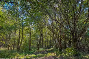 16540 NW County Road 379A, Bristol, FL 32321 - Photo 39