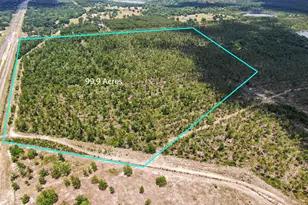 00 Hwy 77, Chipley, FL 32428 - Photo 1