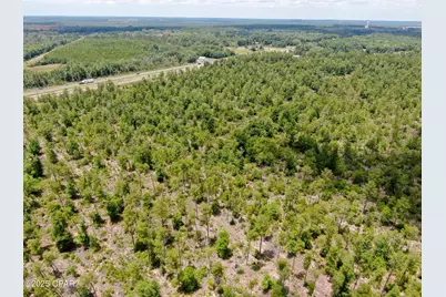 00 Hwy 77, Chipley, FL 32428 - Photo 5