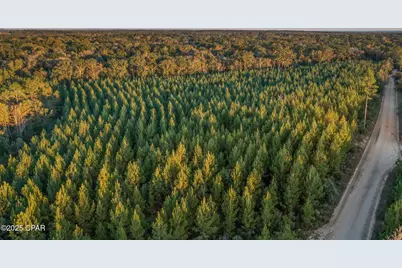 Xxx Open Creek Road #South Lot, Chipley, FL 32428 - Photo 7