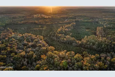 1503 Open Creek Road #North Lot, Chipley, FL 32428 - Photo 3