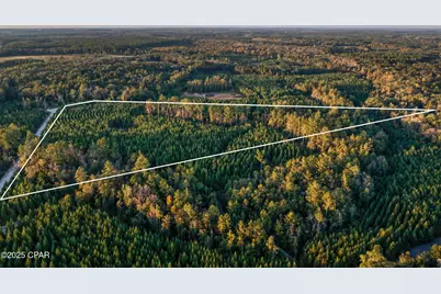 1503 Open Creek Road #North Lot, Chipley, FL 32428 - Photo 5