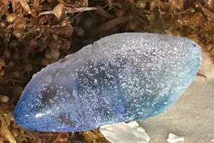 959 Camp Fire Cir, Panama City Beach, FL 32413 - Photo 47