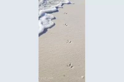 959 Camp Fire Circle, Panama City Beach, FL 32413 - Photo 43