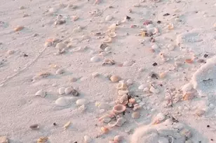 959 Camp Fire Cir, Panama City Beach, FL 32413 - Photo 49