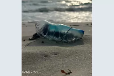 959 Camp Fire Circle, Panama City Beach, FL 32413 - Photo 51