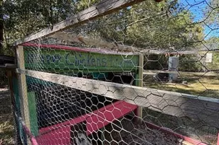 476 Providence Rd, Quincy, FL 32351 - Photo 47