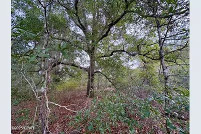 Lot 14 Sadorus Avenue, Alford, FL 32420 - Photo 1