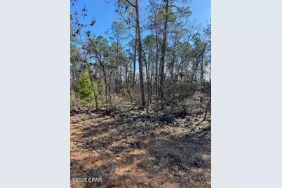 00 Orange Peel, Marianna, FL 32448 - Photo 1