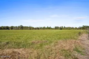 5171 Galloway Rd, Graceville, FL 32440 - Photo 33