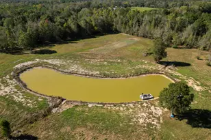 5171 Galloway Rd, Graceville, FL 32440 - Photo 31