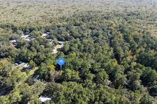 696 Smokehouse Lake Rd, Ponce de Leon, FL 32455 - Photo 21