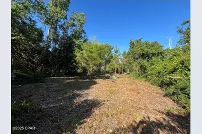 6420 Marvin Lane, Panama City, FL 32409 - Photo 3