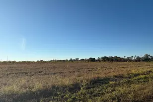 4727 Georgia Rd, Greenwood, FL 32443 - Photo 57