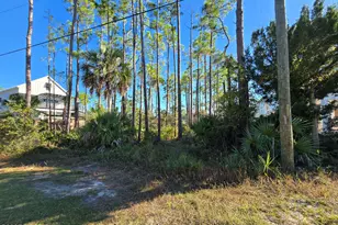 00 Indian Pass Rd, Port Saint Joe, FL 32456 - Photo 9