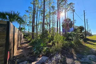 00 Indian Pass Rd, Port Saint Joe, FL 32456 - Photo 11