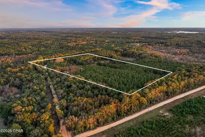 Xxx Fortune Pond Road #(North 20 acres), Vernon, FL 32462 - Photo 3