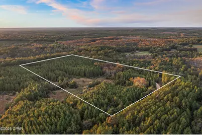 Xxx Fortune Pond Road #(North 20 acres), Vernon, FL 32462 - Photo 1