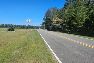 5493 Ellaville Rd, Campbellton, FL 32426 - Photo 19