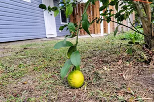 1545 Chandlee Ave, Panama City, FL 32405 - Photo 25