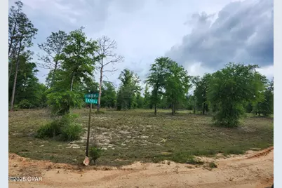 Tbd Empire Avenue, Alford, FL 32420 - Photo 1