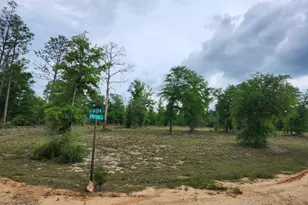 Tbd Empire Ave, Alford, FL 32420 - Photo 1