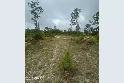 Tbd Empire Avenue, Alford, FL 32420 - Photo 3