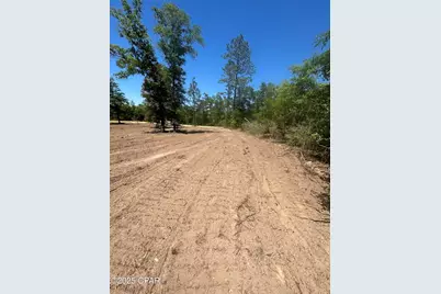 Tbd Empire Avenue, Alford, FL 32420 - Photo 7