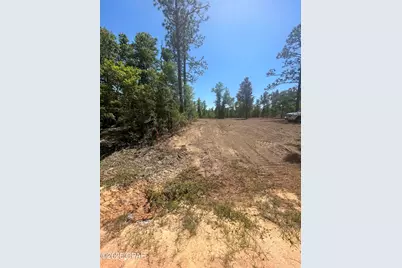 Tbd Empire Avenue, Alford, FL 32420 - Photo 11