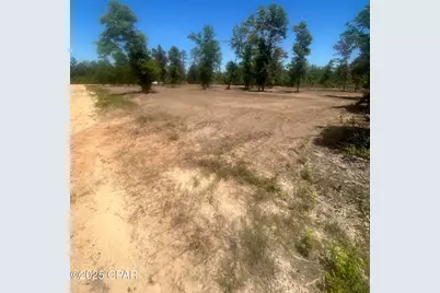 Tbd Empire Avenue, Alford, FL 32420 - Photo 5