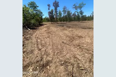 Tbd Empire Avenue, Alford, FL 32420 - Photo 9