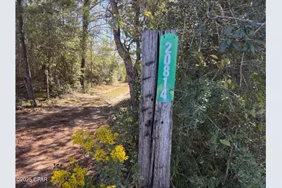 20814 NW Willow Bend Road, Altha, FL 32421 - Photo 71