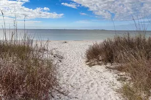 303 Sea Tern Ln, Port Saint Joe, FL 32456 - Photo 41