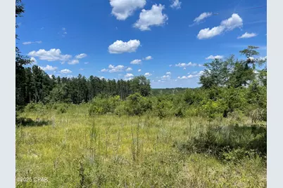 2826 Irene Street, Ponce de Leon, FL 32455 - Photo 11