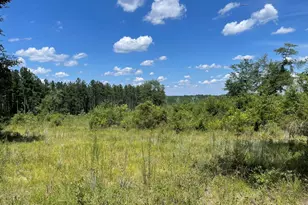 2826 Irene St, Ponce de Leon, FL 32455 - Photo 11