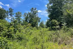 2826 Irene St, Ponce de Leon, FL 32455 - Photo 9