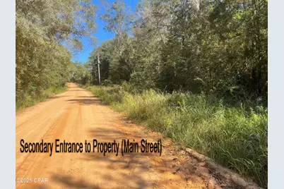 2826 Irene Street, Ponce de Leon, FL 32455 - Photo 43