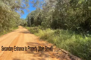 2826 Irene St, Ponce de Leon, FL 32455 - Photo 43