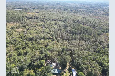 2826 Irene Street, Ponce de Leon, FL 32455 - Photo 5