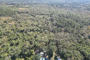 2826 Irene St, Ponce de Leon, FL 32455 - Photo 5