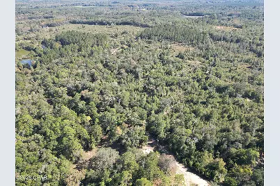 2826 Irene Street, Ponce de Leon, FL 32455 - Photo 7