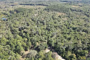 2826 Irene St, Ponce de Leon, FL 32455 - Photo 7