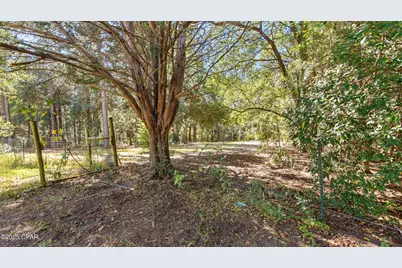 2826 Irene Street, Ponce de Leon, FL 32455 - Photo 35