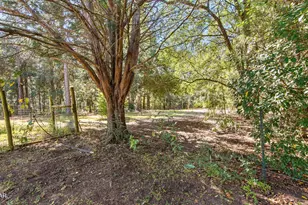 2826 Irene St, Ponce de Leon, FL 32455 - Photo 35