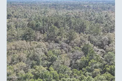 2826 Irene Street, Ponce de Leon, FL 32455 - Photo 3