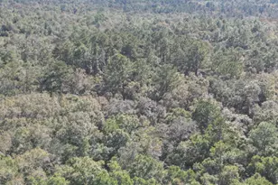 2826 Irene St, Ponce de Leon, FL 32455 - Photo 3