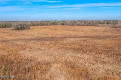 2045 US Highway 90, Cottondale, FL 32431 - Photo 7